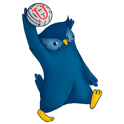 Vóleibol