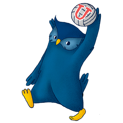 Vóleibol